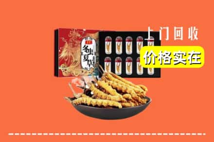 宜春市回收冬虫夏草