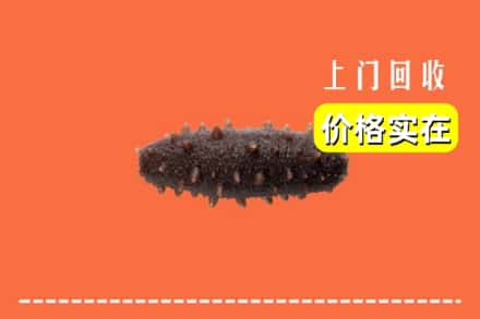 宜春市回收海参